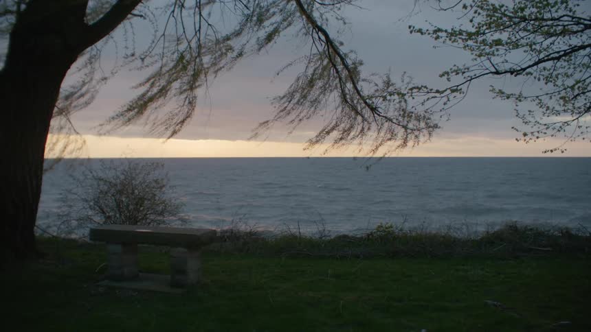 A stone bench beneath a tree next to the ocean on a cloudy evening