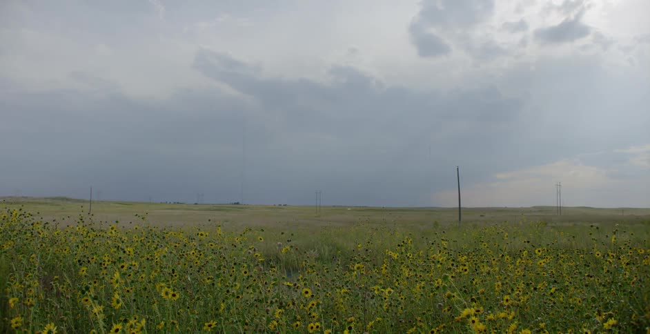 A vast grassland under a cloudy evening sky