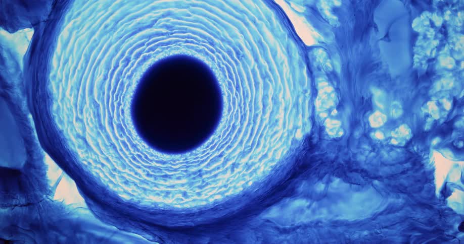 A blue circle of liquid expands in several waves of color