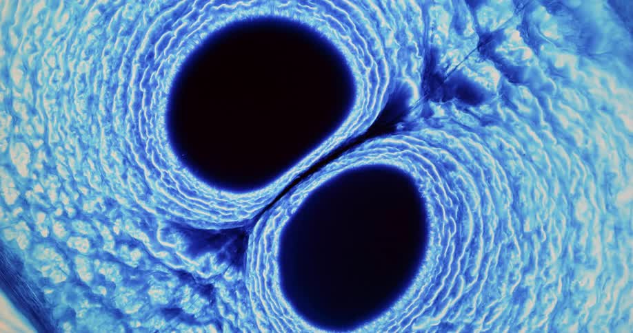 Concentric puffy layers flow around pair of dark circular shapes