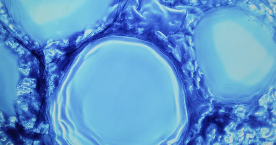 Concentric irregular circles of bright blue and white liquid ink blooming and growing