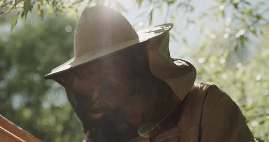 A man working with a bee hive