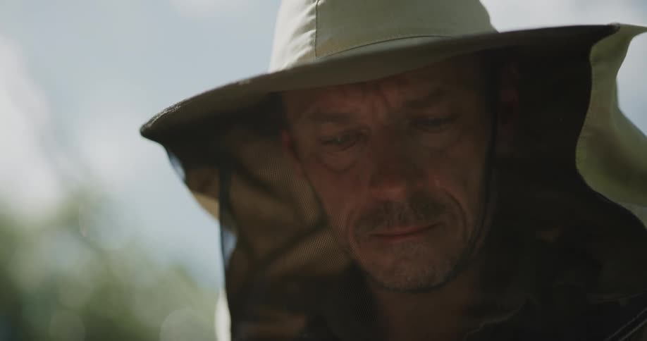A beekeeper is looking at a bee