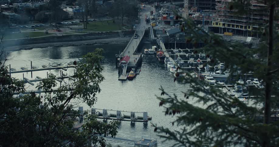 Horseshoe Bay Marina from a high angle perspective