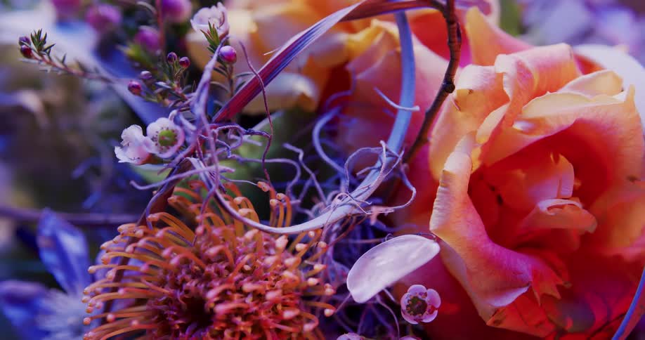 The flowers are bunched together
