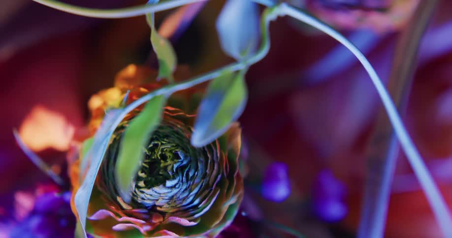 The flowers are spinning