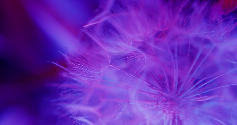 The purple art is spinning