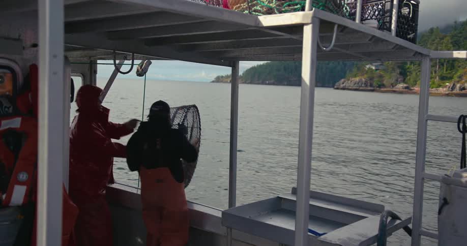 Two commercial fisherman pull up and empty a prawn trap