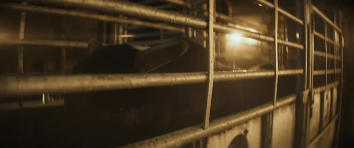 A man pets a bull in a pen