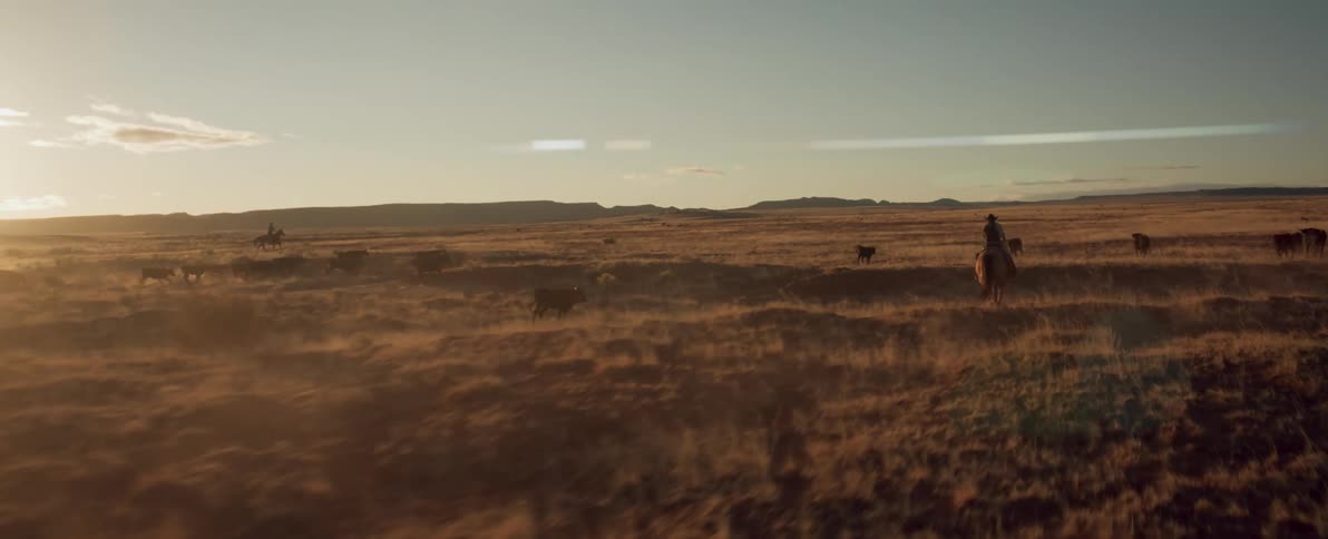 A pair of cowboys herd cattle through a grassland during the day