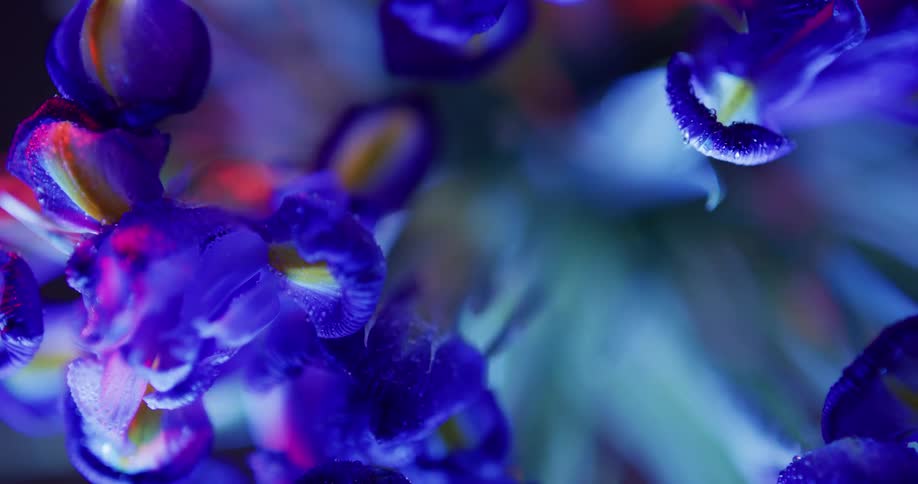 A bouquet of flowers is spinning