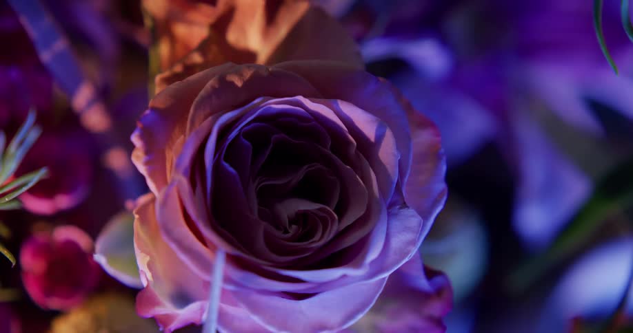 Close up view of flowers in a bouquet is displayed