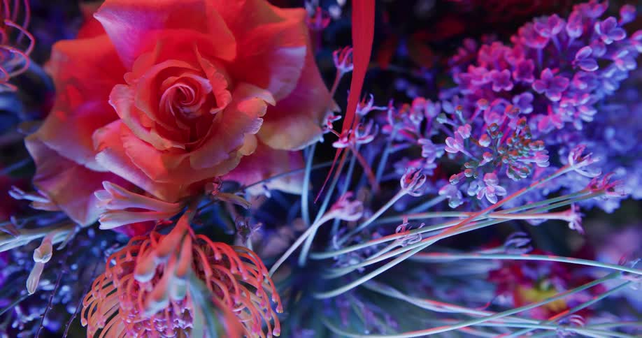 Top down twisting footage of flowers in a bouquet under colorful lights