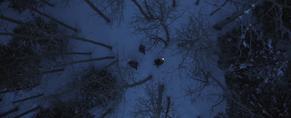 Three people are walking through a forest during winter