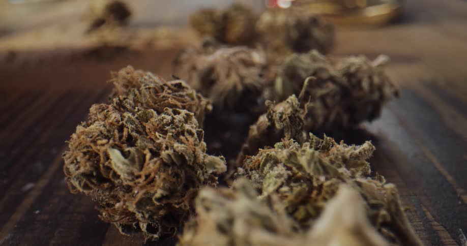 Close up view of marijuana buds with red hairs sitting on a table