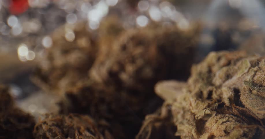 Smoke rises near red haired marijuana buds