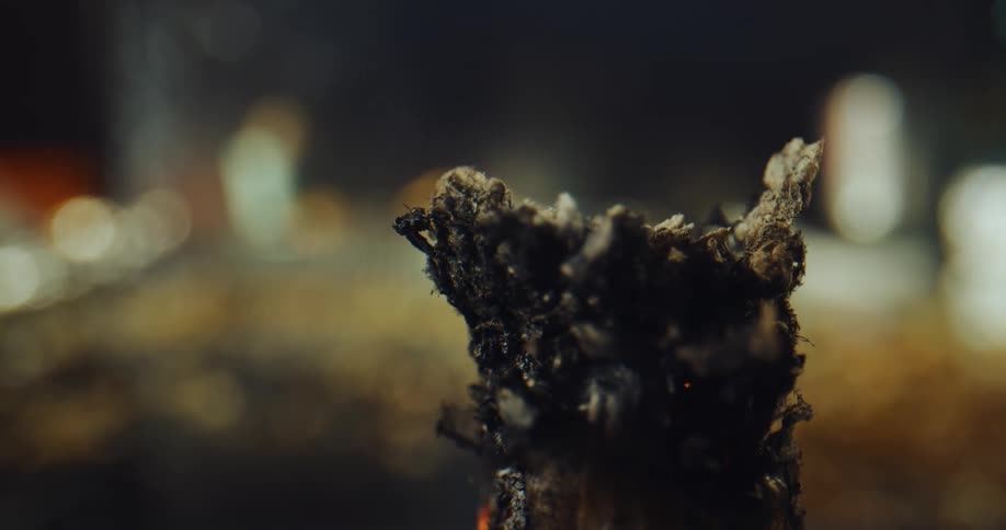 A flame burns the wrapper off a bud