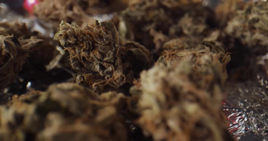 Dried marijuana buds sit on foil on a table