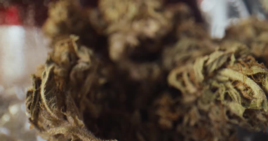Dried marijuana buds sit on a table