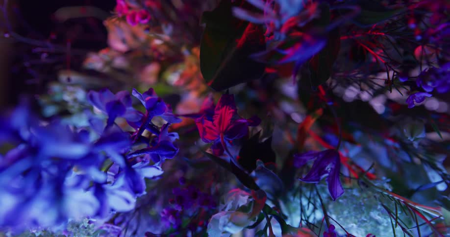 Close up of a flower bouquet at night is displayed