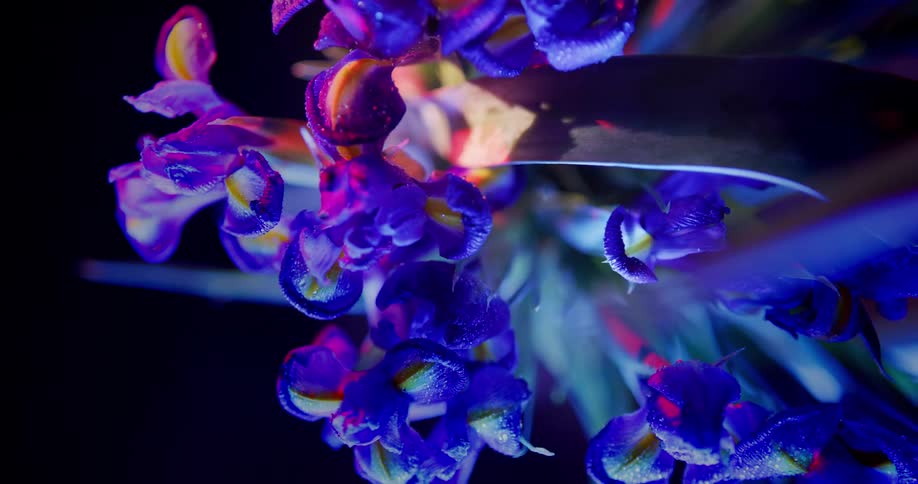 A flower bouquet is displayed during the night time