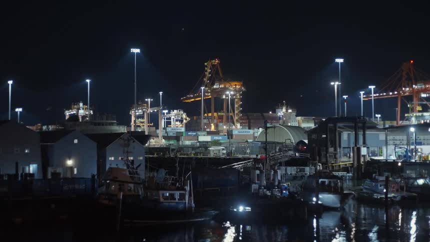 Boats are docked in the port
