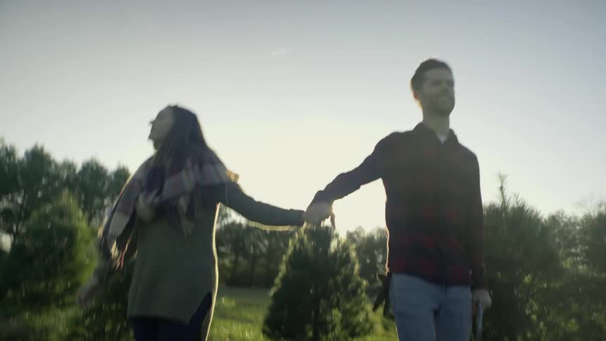 Man and woman looking for a christmas tree to cut down at sunset