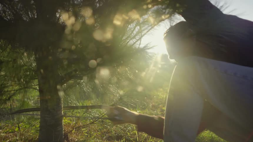 A man is cutting down a tree with a saw