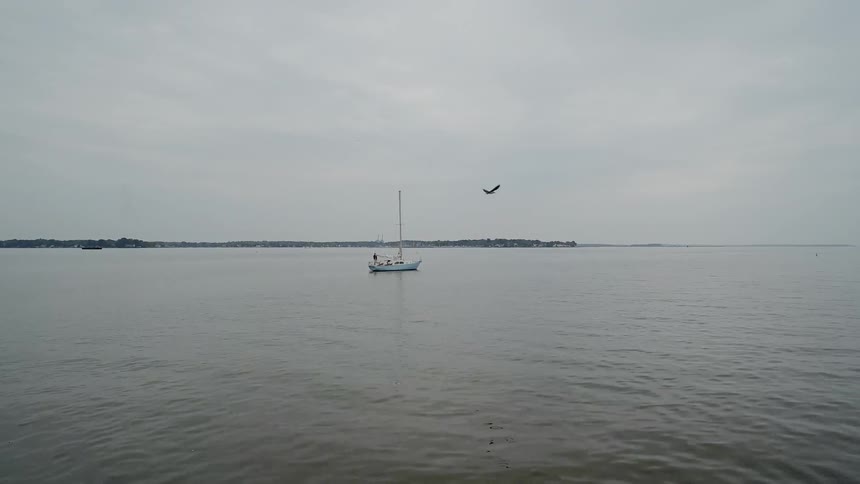 A bird flies over a body of water with a single boat in it