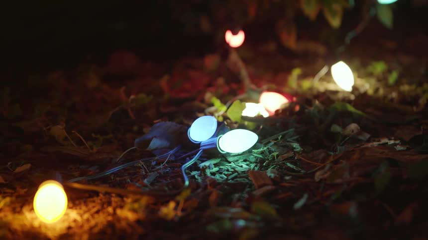 Christmas lights are laying on the ground