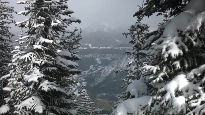 A snow covered landscape