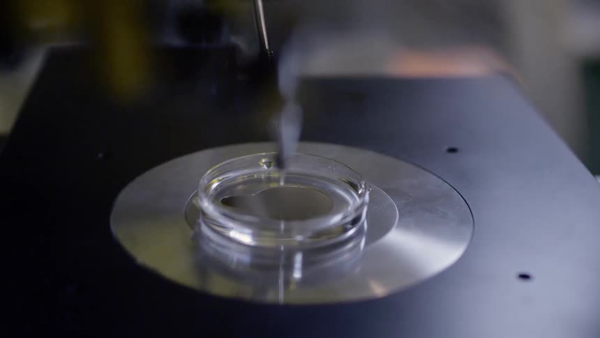 A person puts a dish under lab equipment
