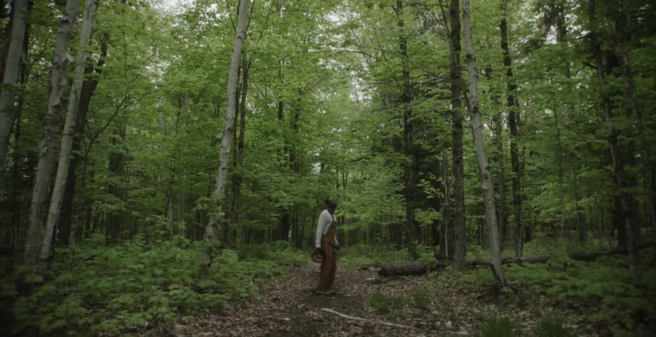 A man standing in a forest while holding a chainsaw looks up at the trees around him