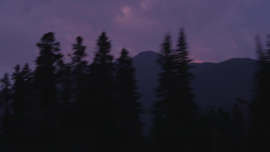 Moving past trees in front of a mountain at dawn