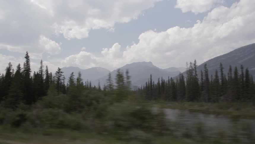 Trees and a stream are before a mountain in the distance