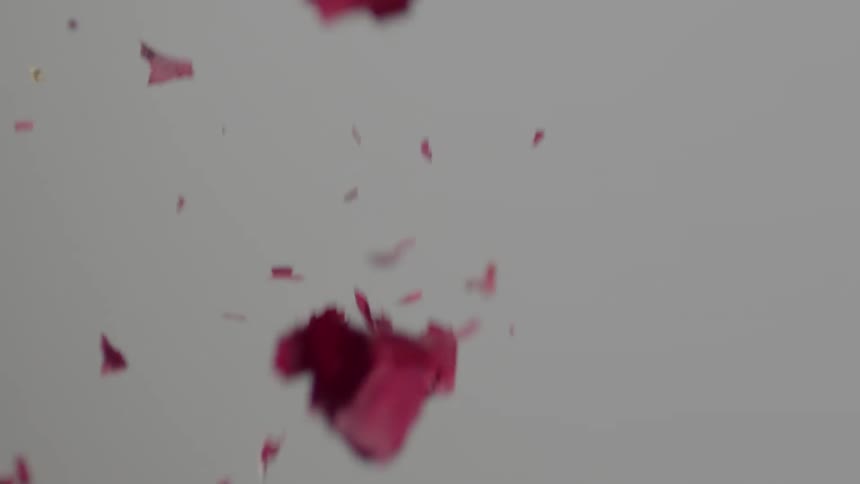 Flower pieces fall all over