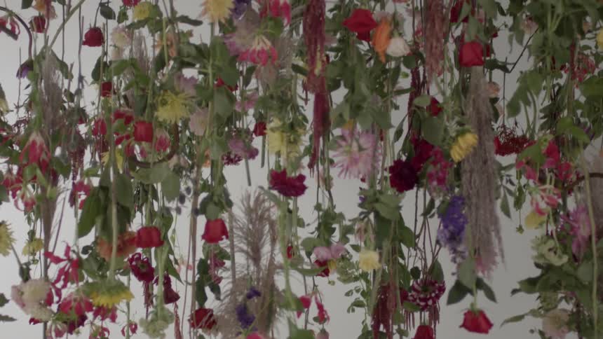 Vines hang covered with flowers
