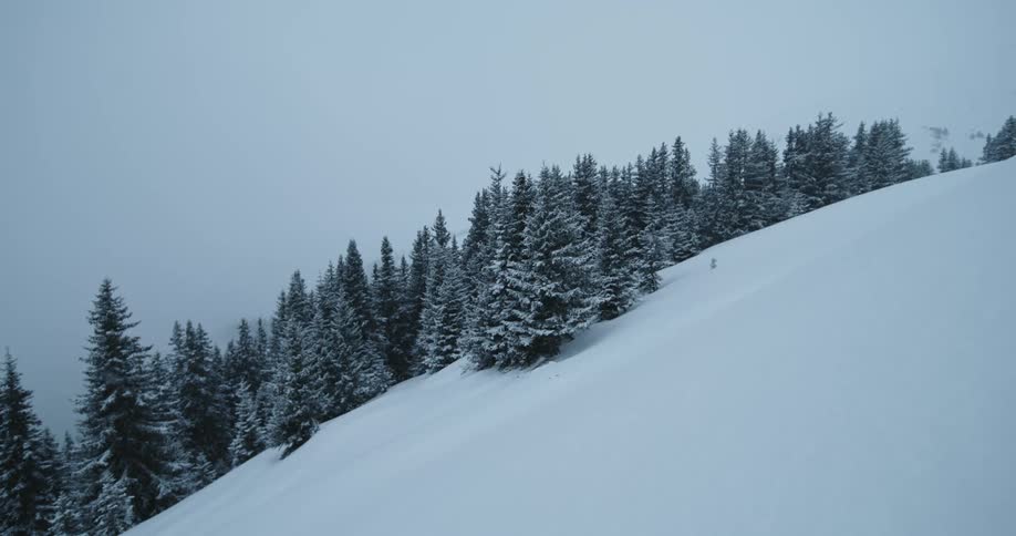 Its snowing on a forest on a hillside