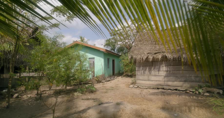 Building with a thatched roof sits next to a blue building as trees sit nearby under a blue sky