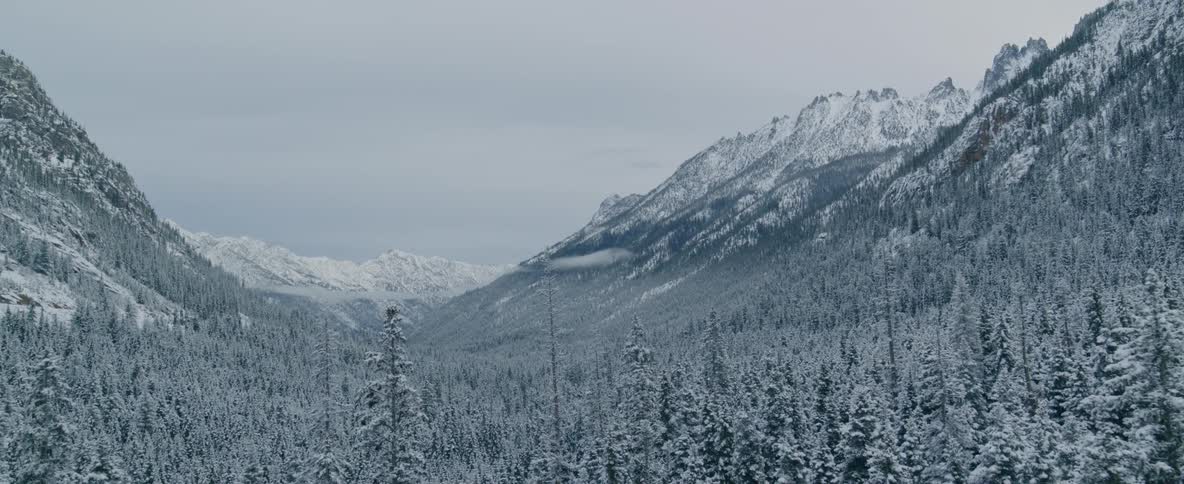Snow dusted trees in a mountain valley