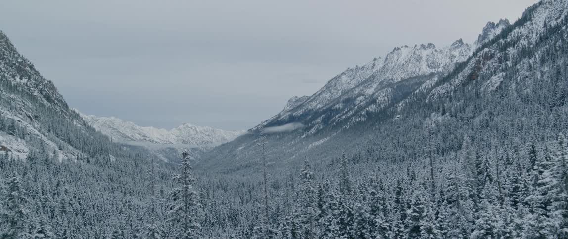 Snow covered forest and mountains