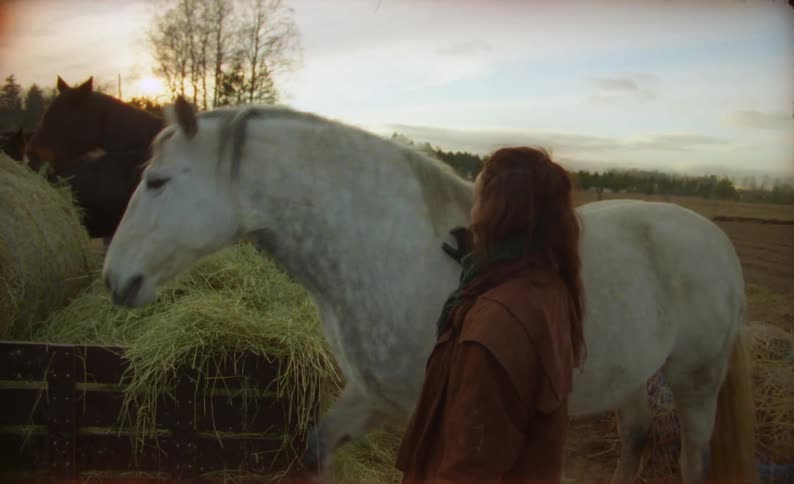 A woman petting and feeding a white horse on a chilly morning