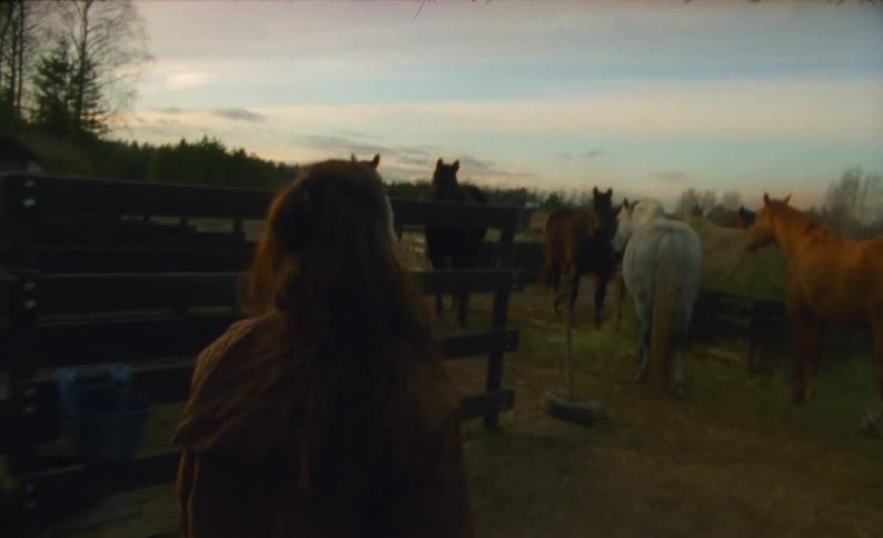 A woman walks outside into a corral filled with horses