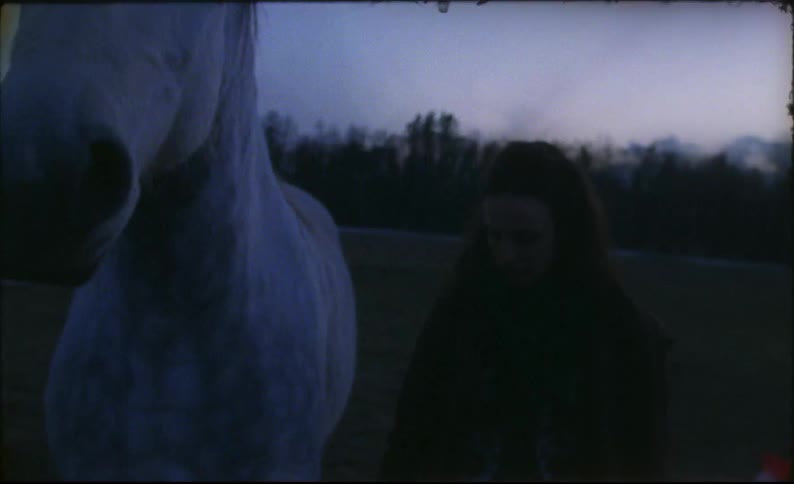 A woman caresses her horse while standing in a field