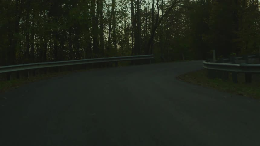 A winding road runs through a forest with guardrails along the bends