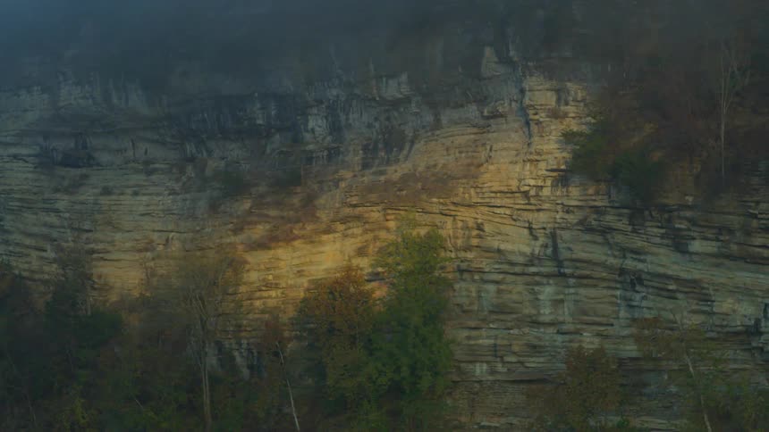 Trees standing near a canyon wall with striations