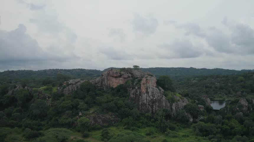 Thick extensive forest surrounds mountain and lake