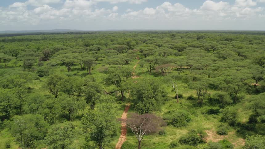Flying over the African savanna