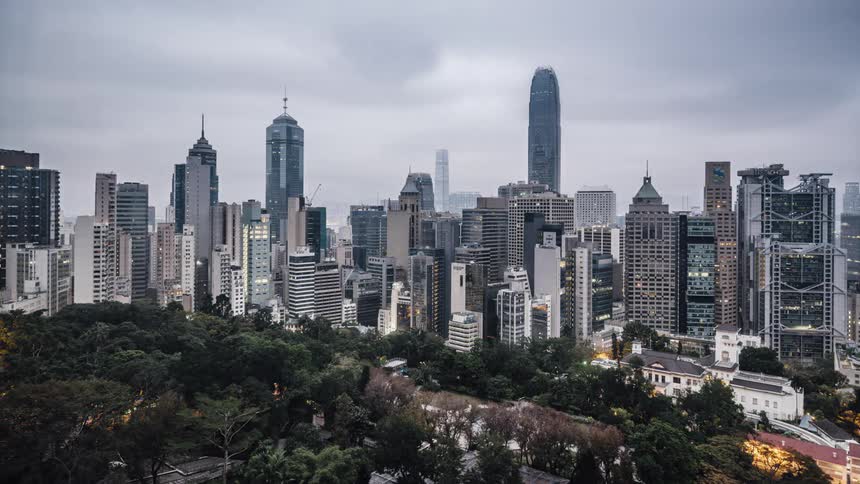 A forest sits across from tall skyscrapers downtown