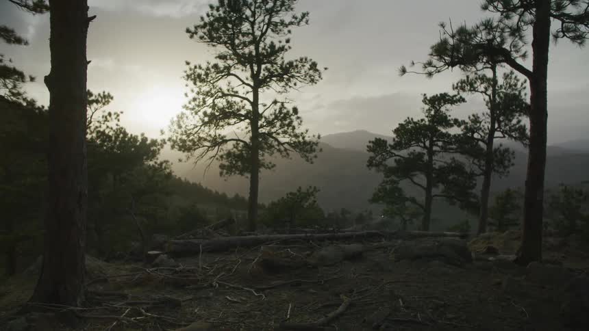 View from rail shows sun shining over mountain through fog covering forest valley and mountains on the horizon